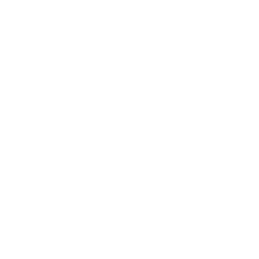 Developer Icon
