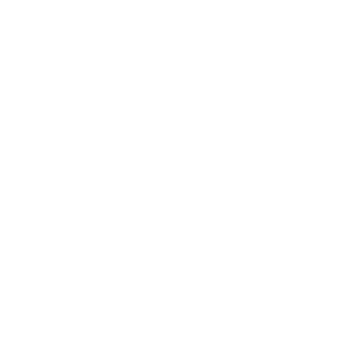 Encrypt Icon