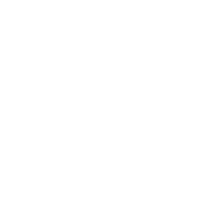 AI Icon
