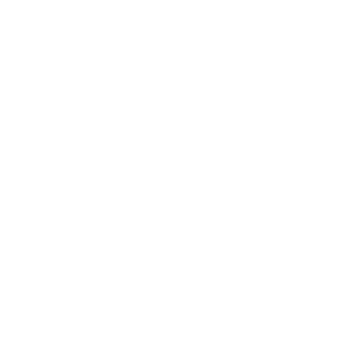 VPN